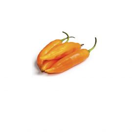 Aji amarillo / Kg.